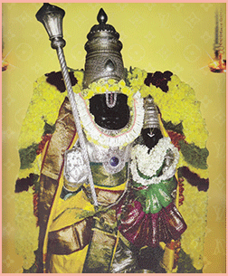 Srilakshminarasimhar – Nanganallur – Chennai, Tamil Nadu