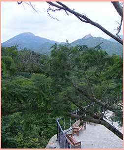 Sri Devarayana Durga