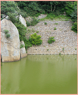 Sri Devarayana Durga