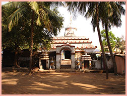 puri narasimha